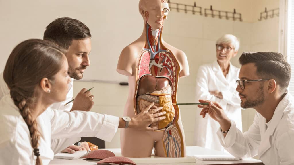 7 Years MD Program